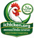ichicken.org